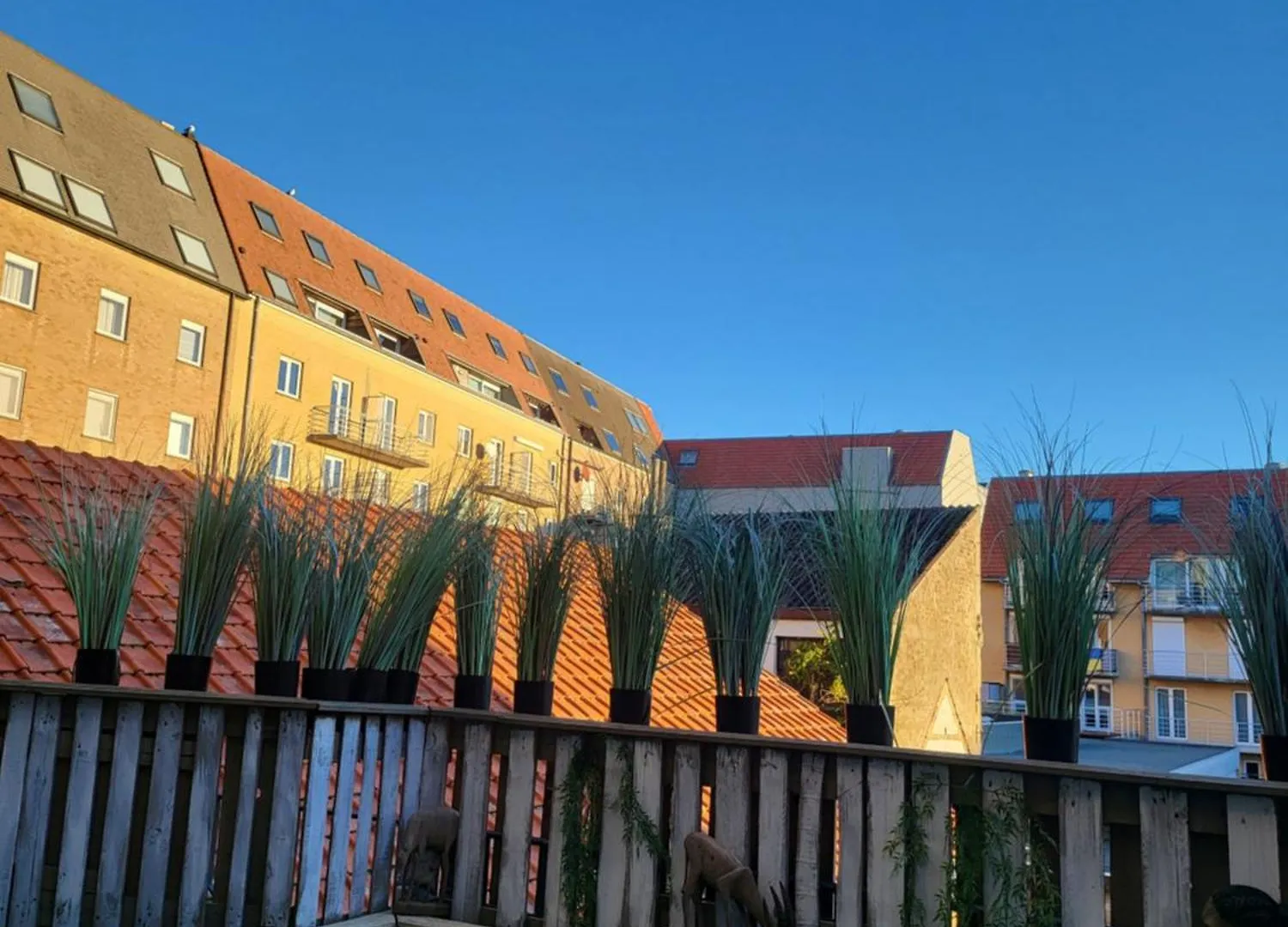 Duinenbank Apartment Bredene